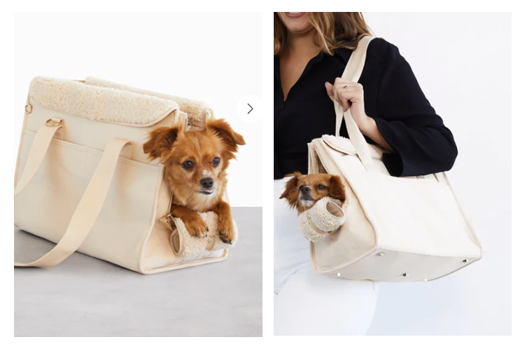 dog carrier tote