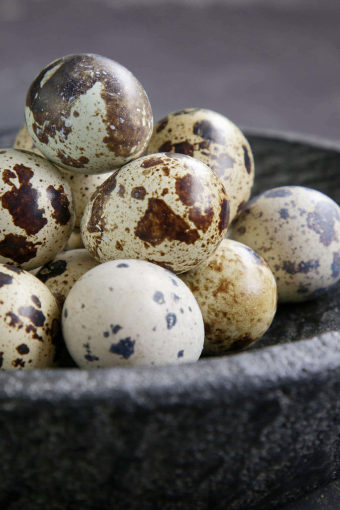 quail eggs for dogs