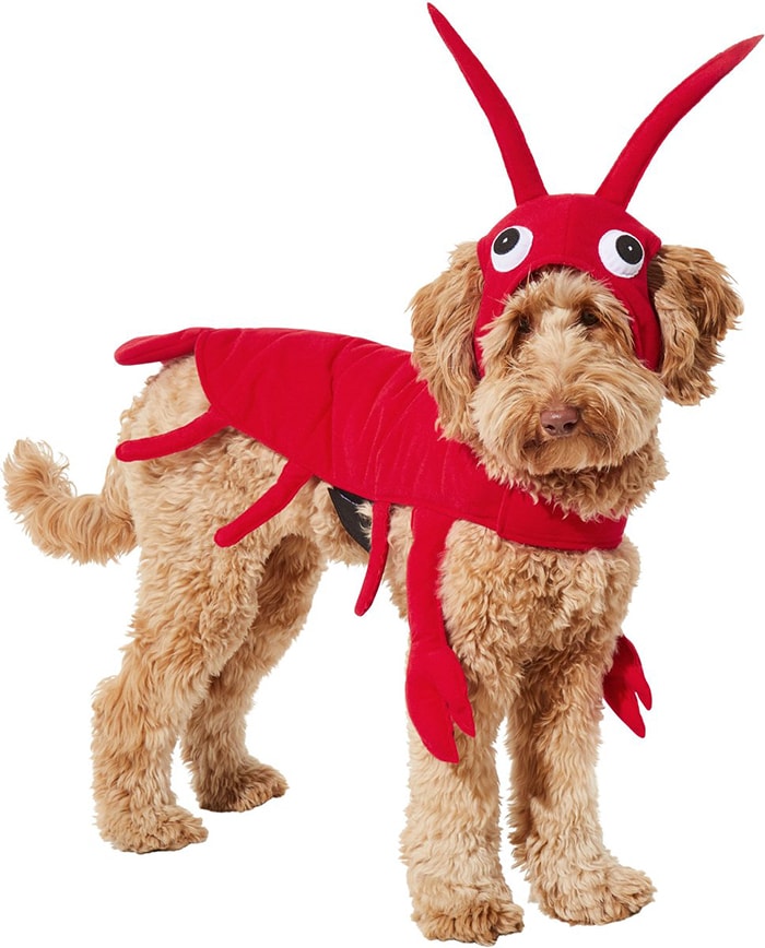 Lobster Dog Costume