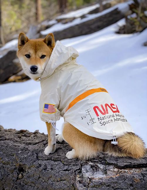 NASA Dog Costume