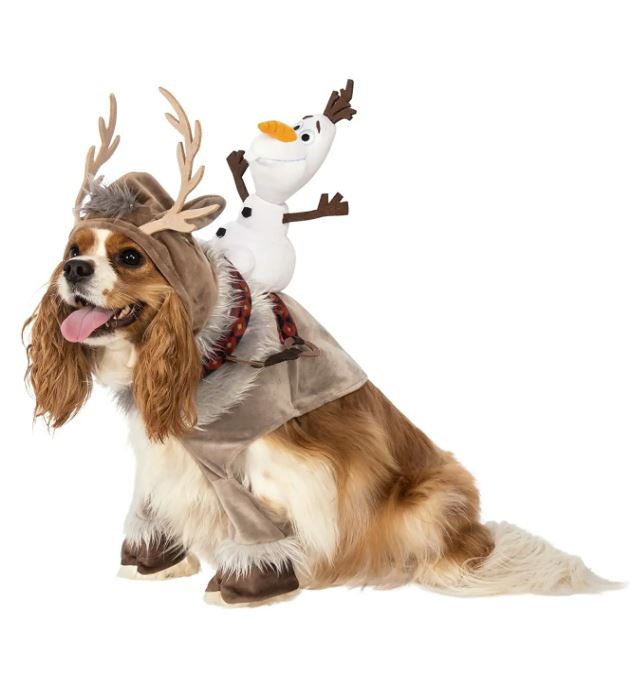 olaf and sven dog costume