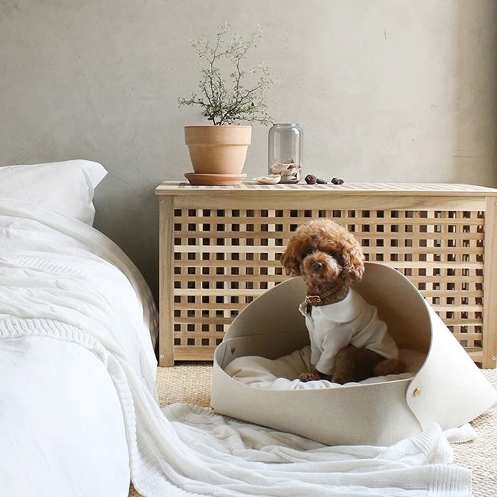 modern pet bed