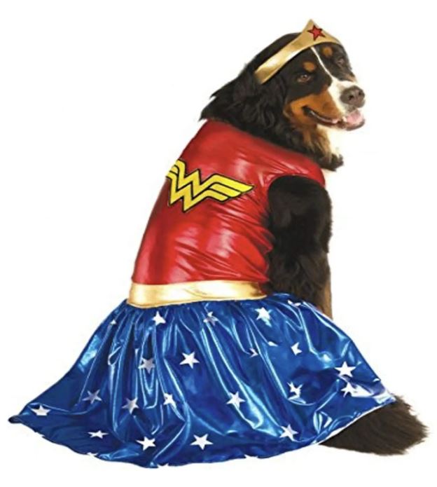 wonder woman dog costume