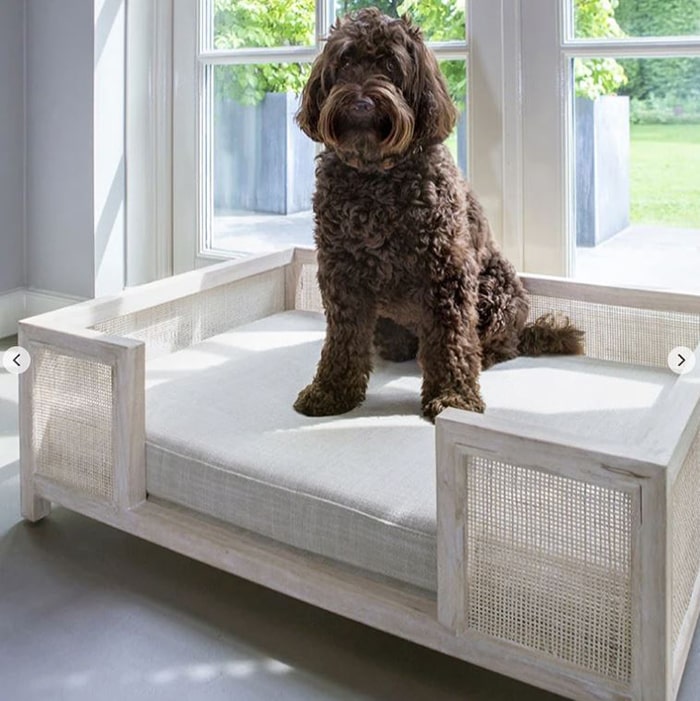 stylish dog bed