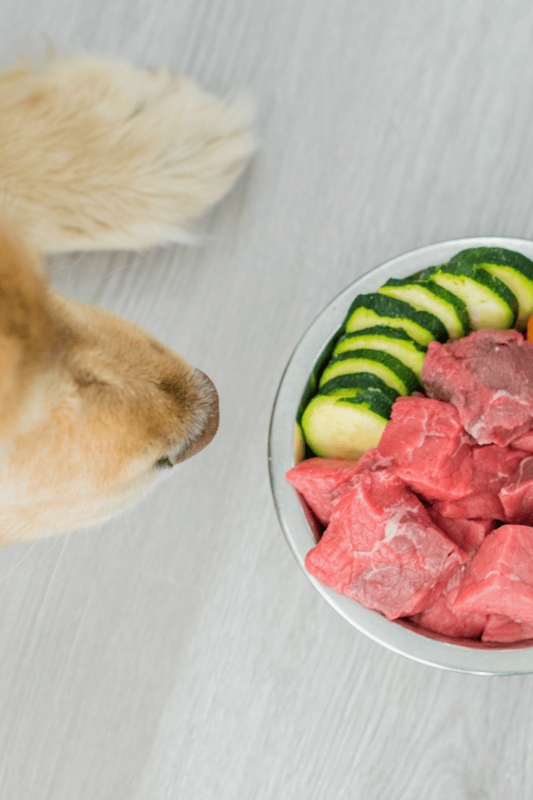 raw food for dogs