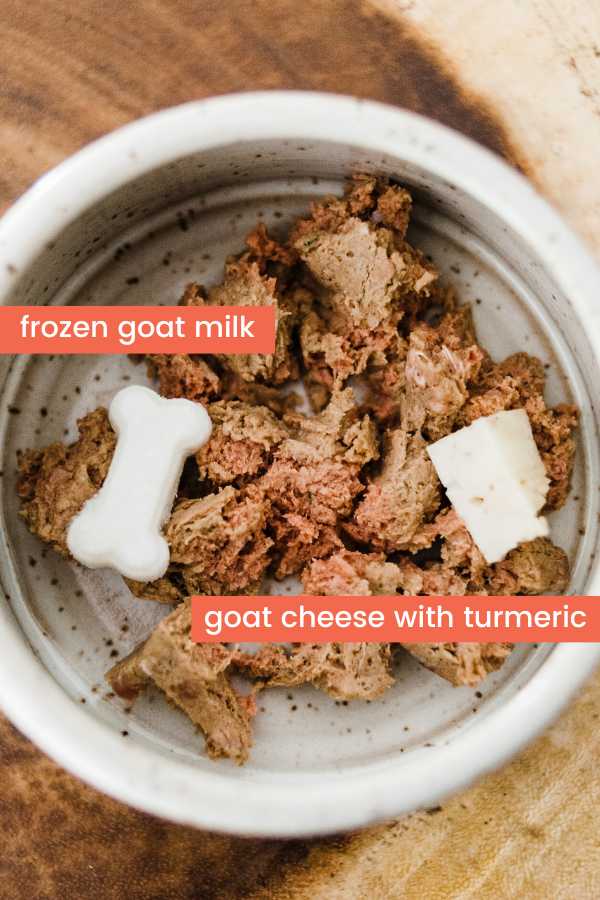 dog food bowl with raw food and goat cheese