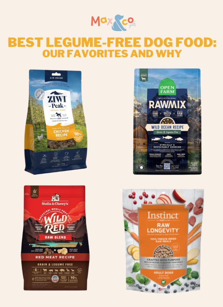 best legume free dog food: our top 4