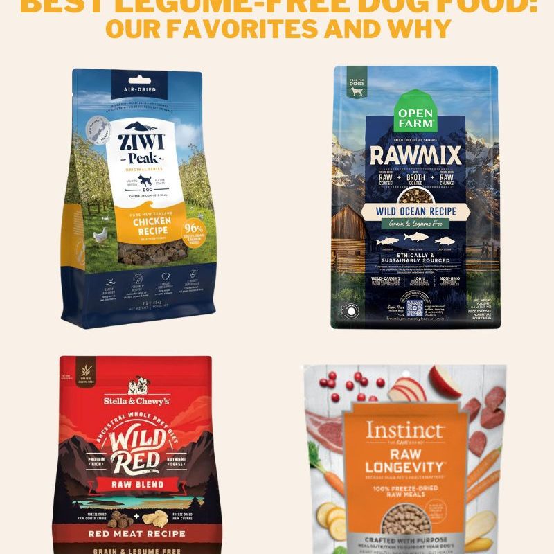 best legume free dog food: our top 4