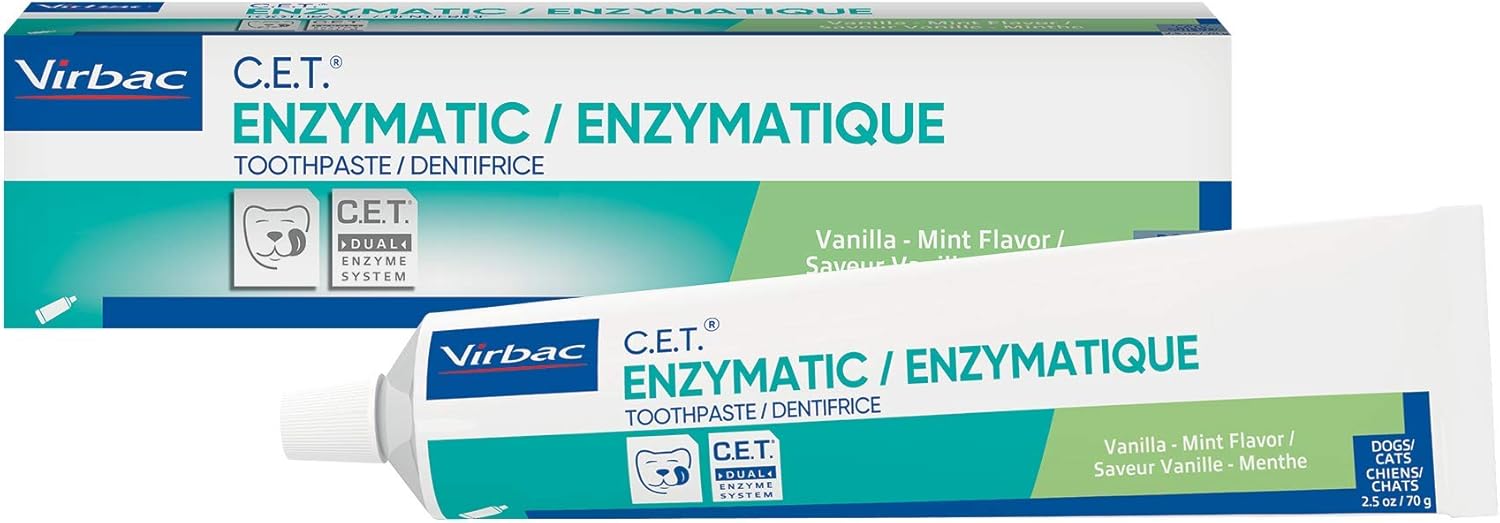 Enzymatic Toothpaste