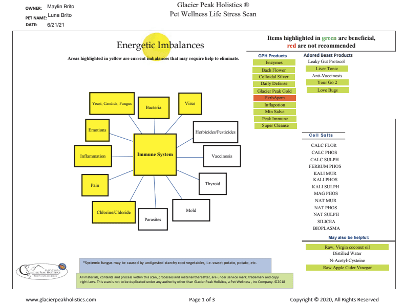 food sensitivity test 